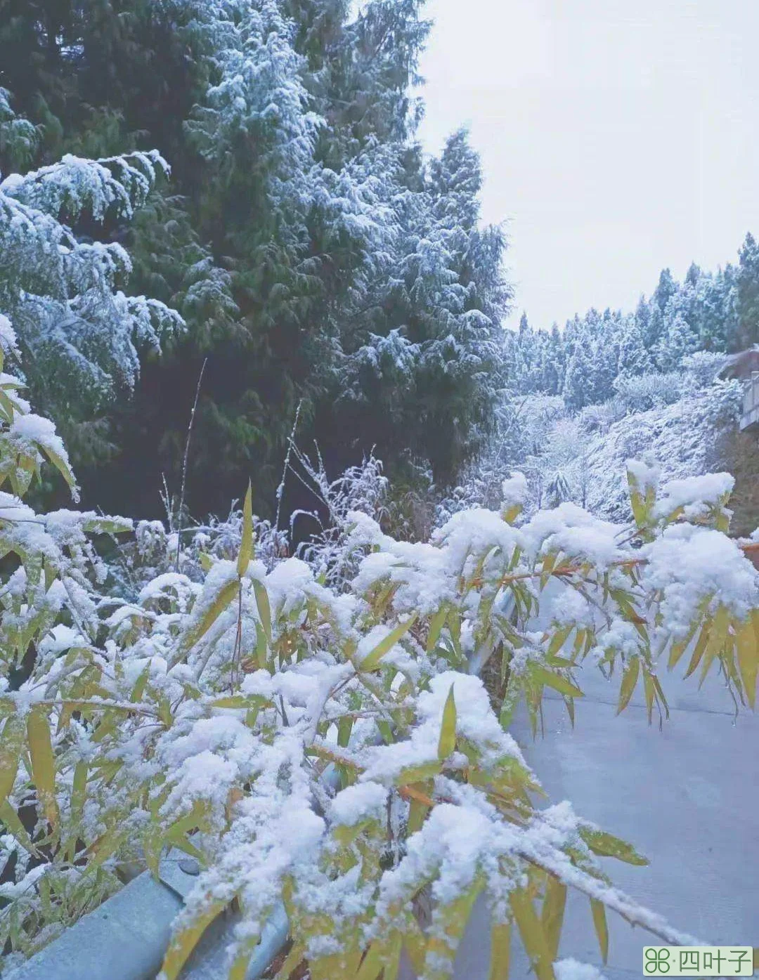 蓬溪今日天气重庆天勤