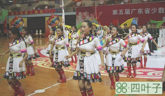 广东省少数民族传统体育运动会