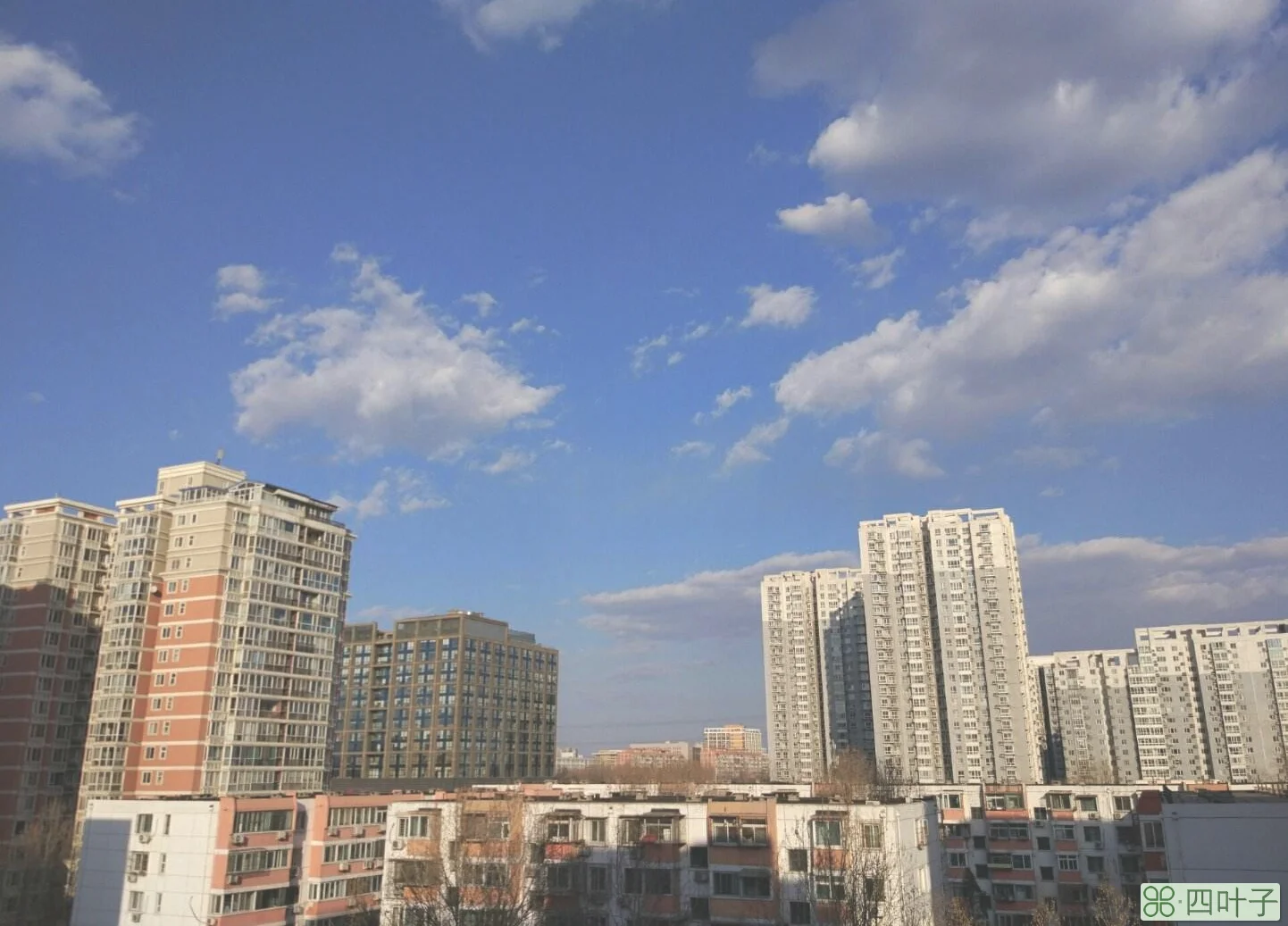 天气预报北京海淀区四季青的简单介绍