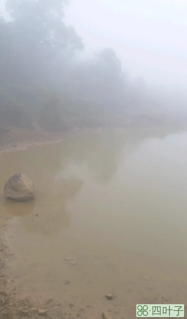 闽清塔庄天气闽清县塔庄镇天气