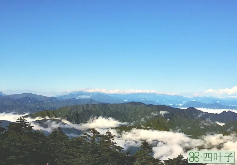 瓦屋山顶实时天气四川瓦屋山风景区天气