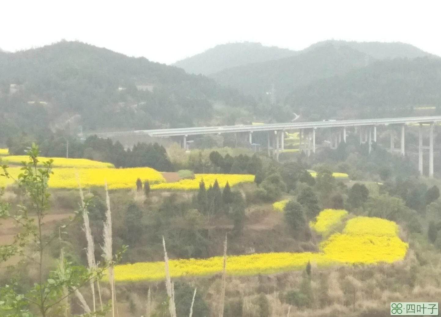 三台县县城天气预报三台天气预报一周天气