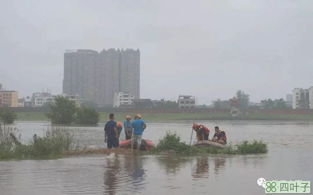 近期乐平天气乐平天气2345