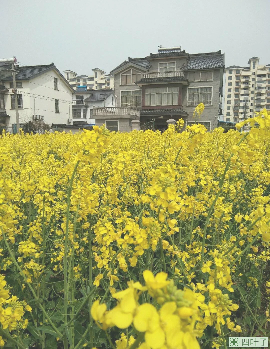 明天常熟市天气报告常熟天气预报明天