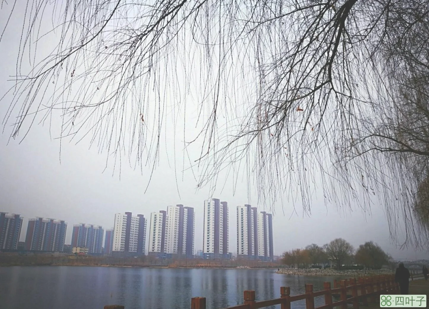 济宁天气预报详细济宁市天气预报