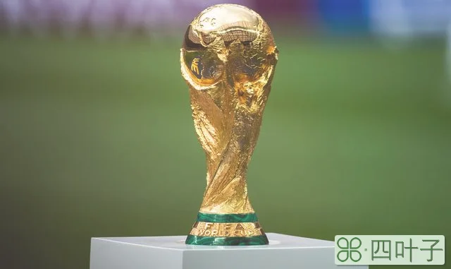 中国申办世界杯成功（媒体人谈中国申办世界杯最早也是2034年申办）