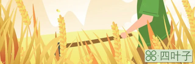 水稻种子催芽的五种方法
