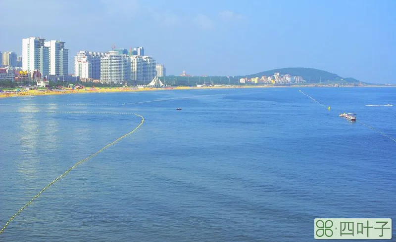 青岛明后三天天气青岛天气15天查询