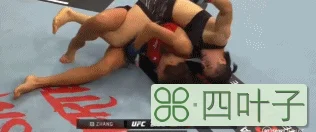 UFC：张伟丽神龙摆尾KO乔安娜 重获金腰带挑战权