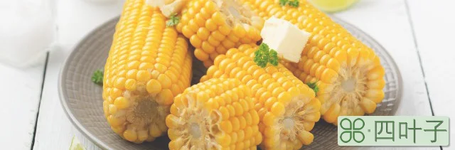玉米的功效与作用(玉米是碳水化合物吗)