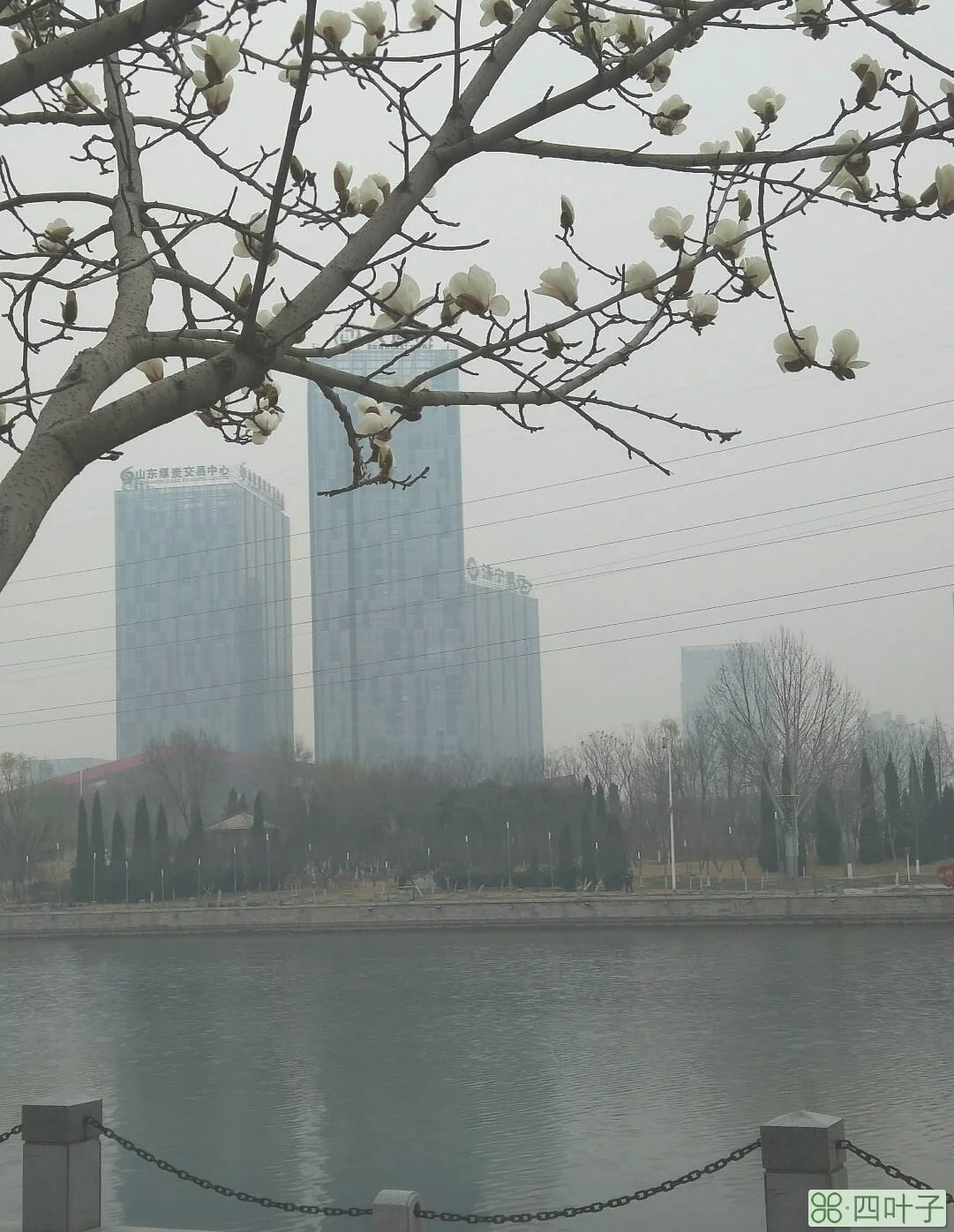 济宁市任城每日天气山东省济宁市任城天气