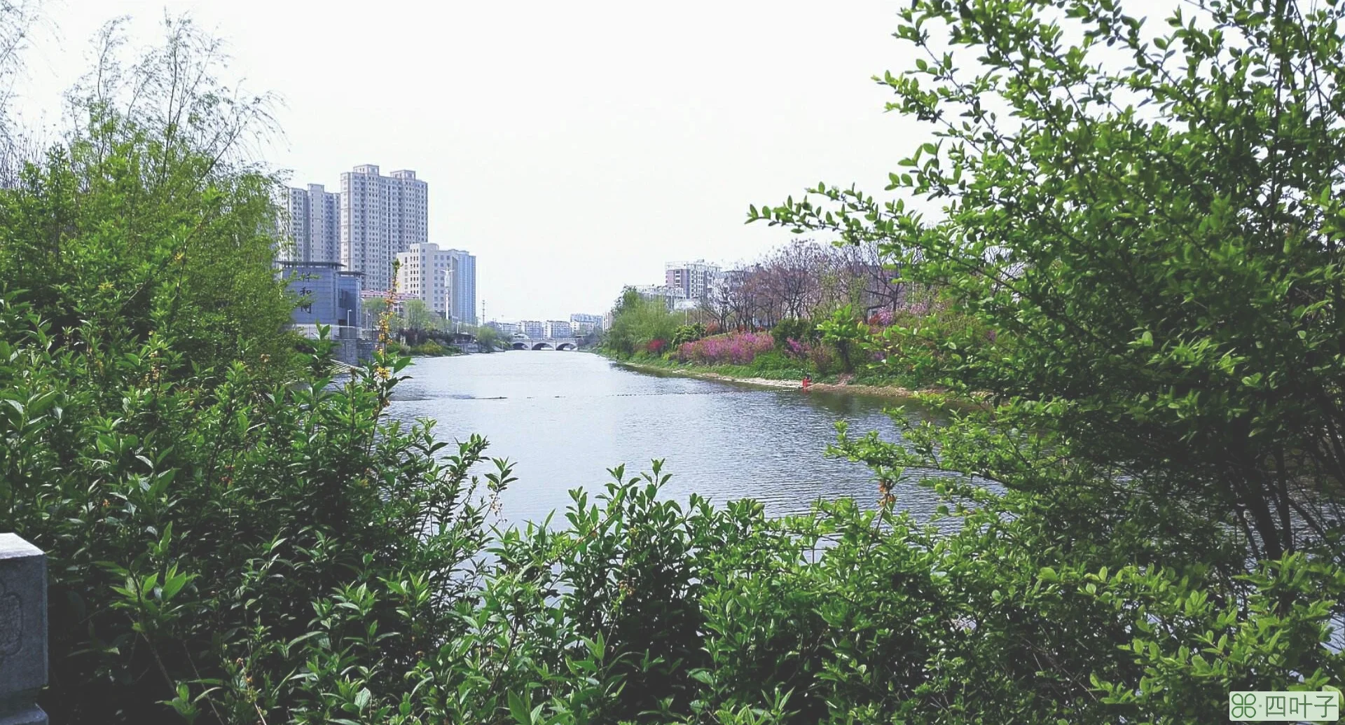 徐州今年天气预报丰县天气预报