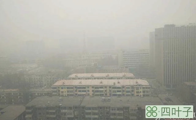 河北省最新天气预报大雾河北今日大雾预报24小时