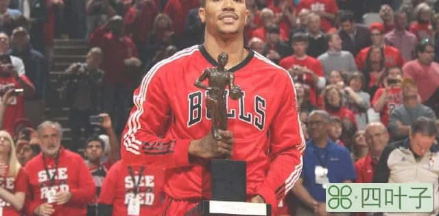 2010-11是神奇的一个赛季！罗斯拿到MVP，诺维斯基夺冠