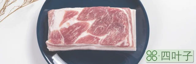 没有冰箱如何保存猪肉(猪肉没有冰箱怎样储存)