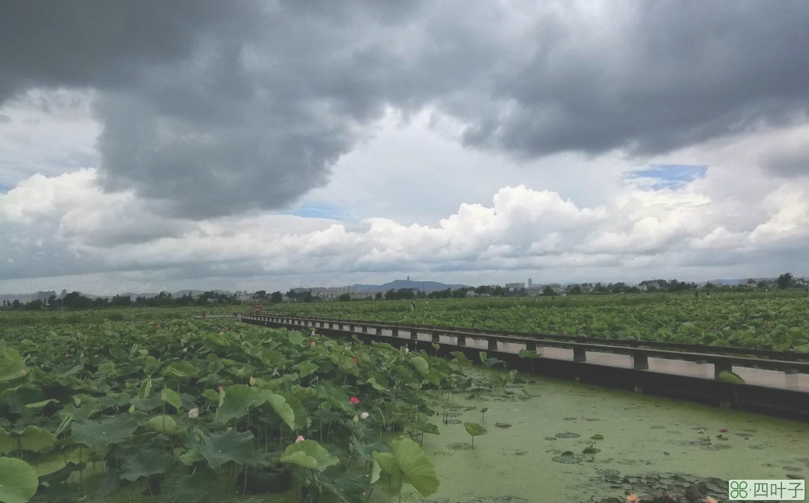 云南曲靖市麒麟区天气麒麟区15天天气预报