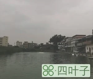杭州市天气预报气压木亢杭州天气