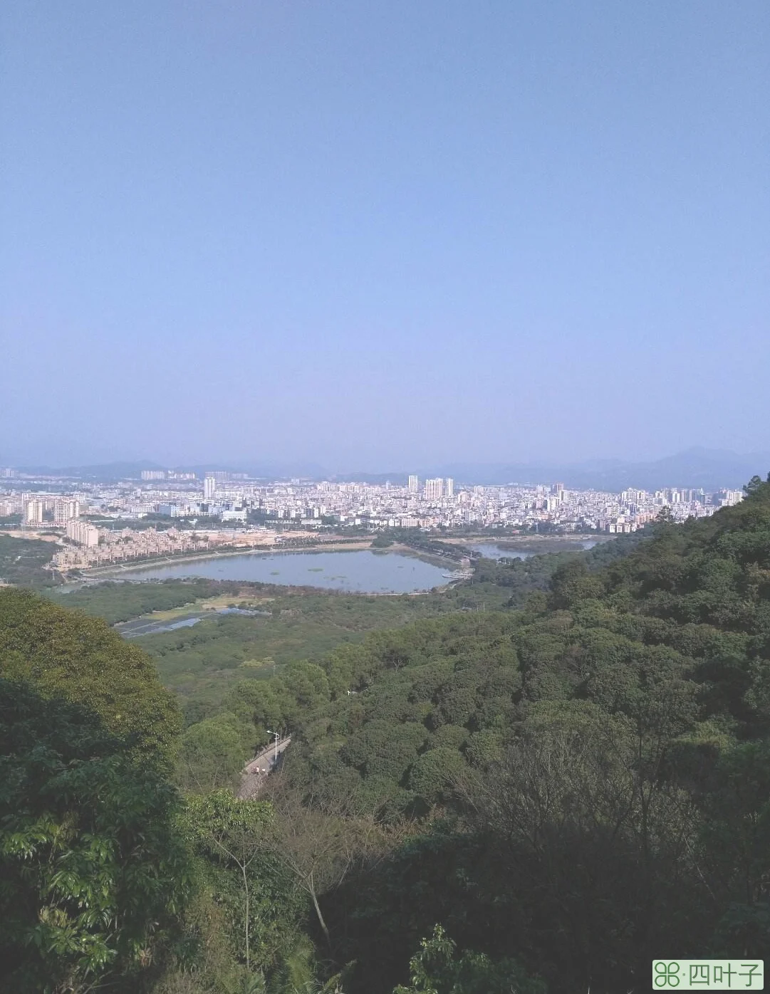 从化区的天气预报从化溪头村天气预报