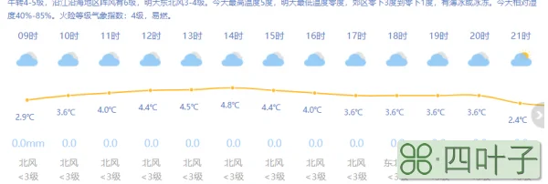 浦东的天气预报15天今日天气