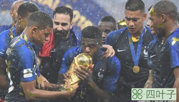 2018世界杯最终排名：法国冠军德国历史最差，日本第15力压阿根廷