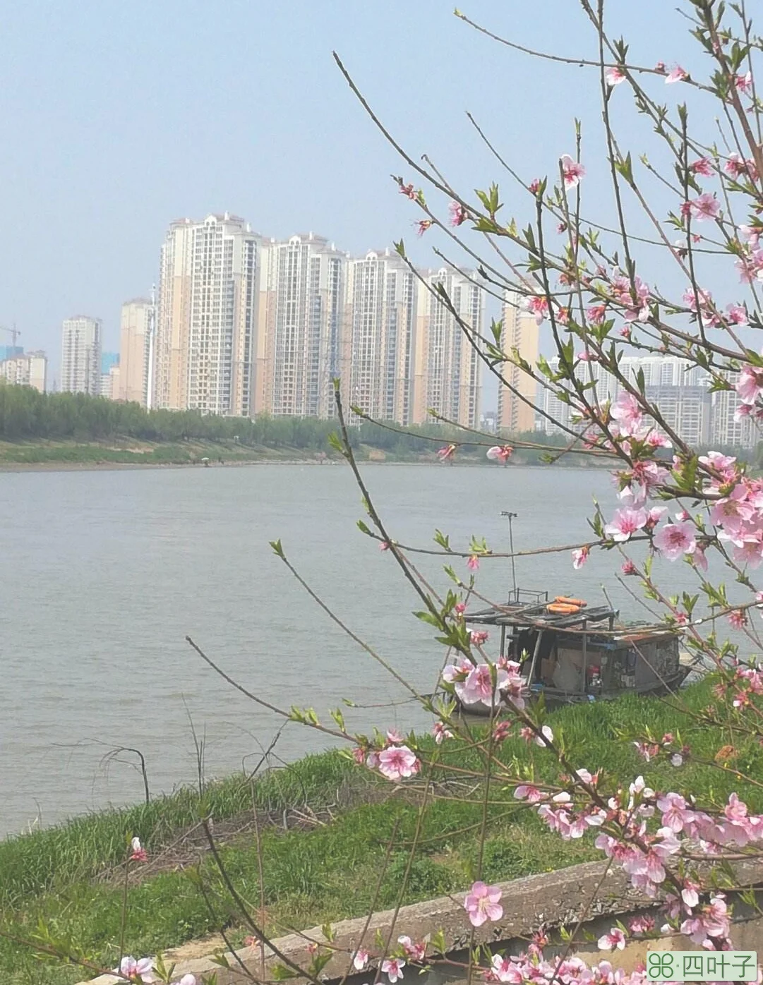 南京江宁天气预报30天南京江宁天气预报30天准确