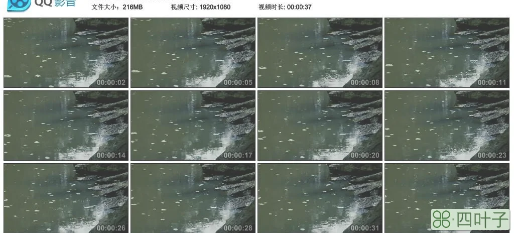 天气视频素材天气视频素材无水印