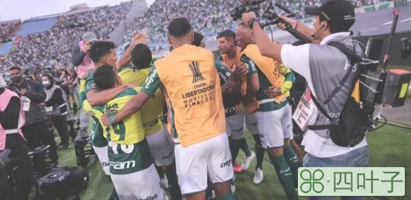 南美解放者杯冠军排名（巴西帕尔梅拉斯队夺得2021年南美解放者杯冠军）