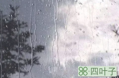 绍兴过年天气冷吗杭州天气预报7天查询