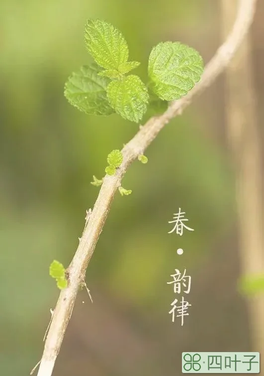 立春意味着天气变暖吗立春过后多久暖和