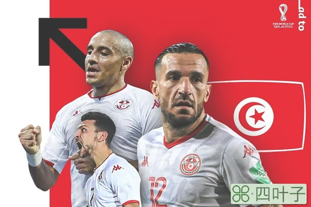突尼斯足球世界排名多少（世界杯巡礼之突尼斯缺乏大牌压阵北非雄狮再度小组出局）