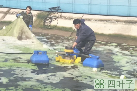 硫酸钙溶解度,硫酸钙溶解度随温度的变化曲线