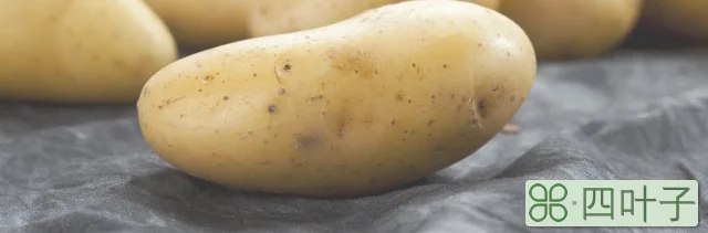炒土豆多长时间能熟