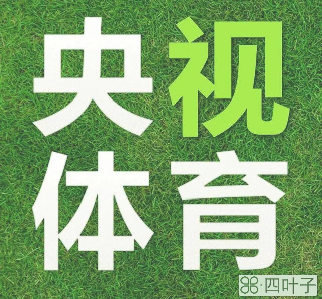 cctv5在线观看回放（央视体育今日直播英超第1轮曼联布赖顿）