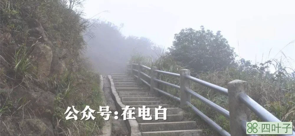 潮州市浮山镇天气漳州天气