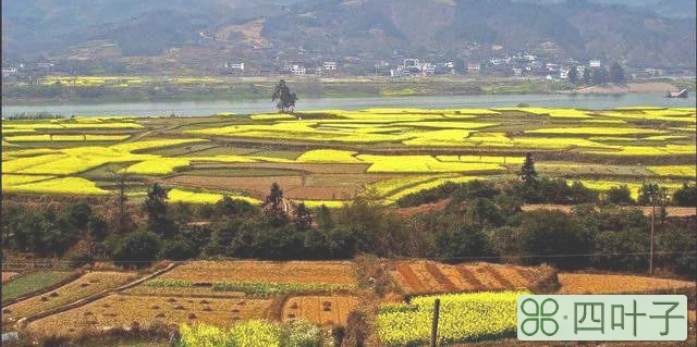 辰溪四十天的天气预报辰溪今7天天气预报说