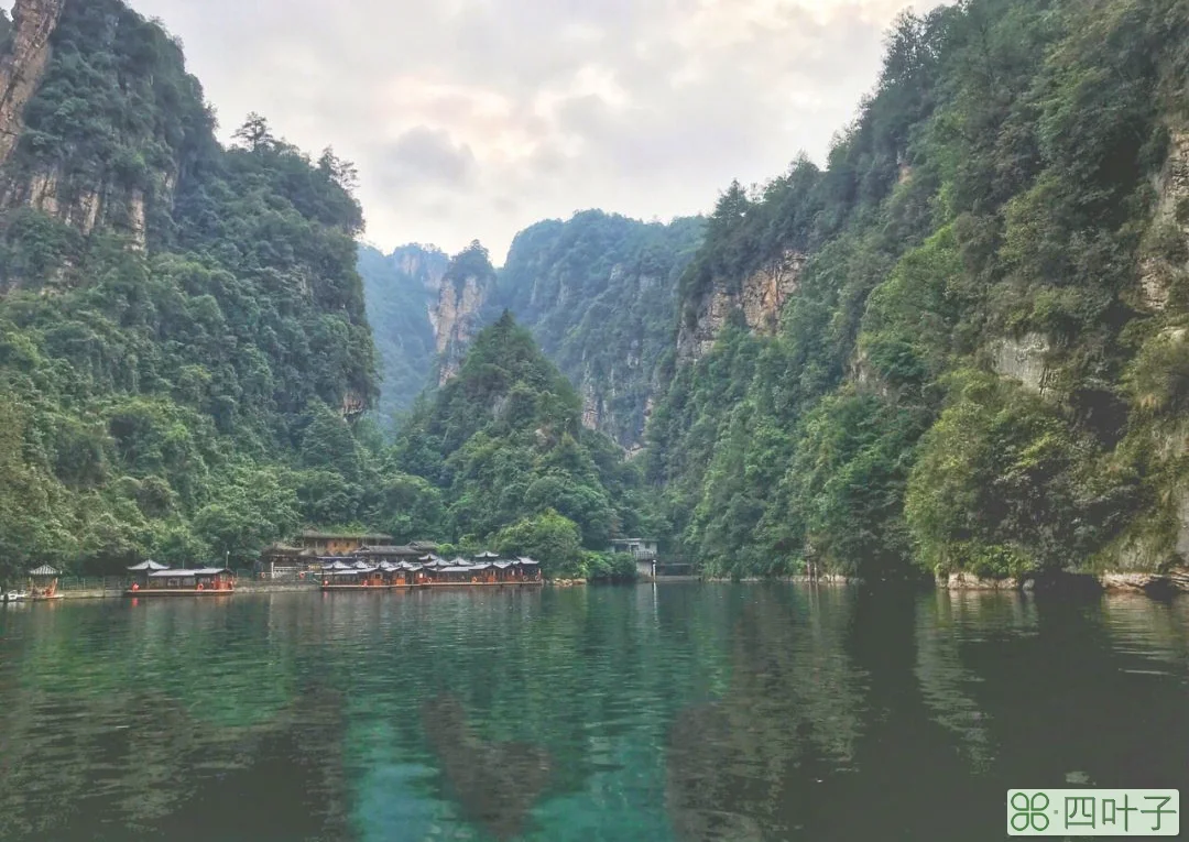 张家界未来两天天气张界家天气预报十五天